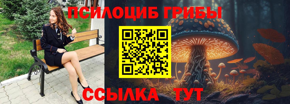 Псилоцибиновые грибы Psilocybine cubensis  Вход с VPN  Барнаул  Галлюциногенные грибы Magic Shrooms 
